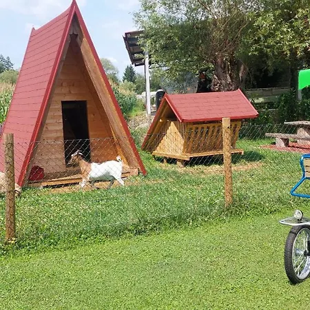 Land Family Fun Sport *