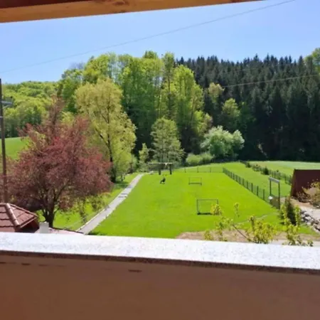 Apartment Land Family Fun Sport *