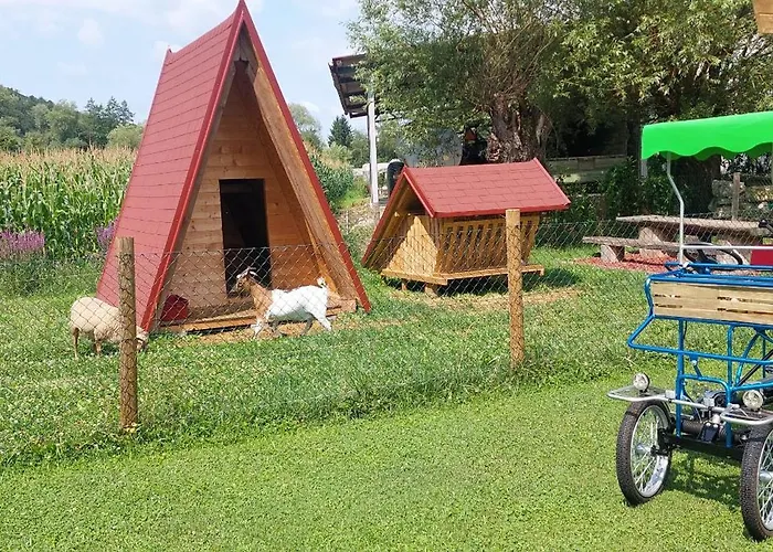 Land Family Fun Sport *